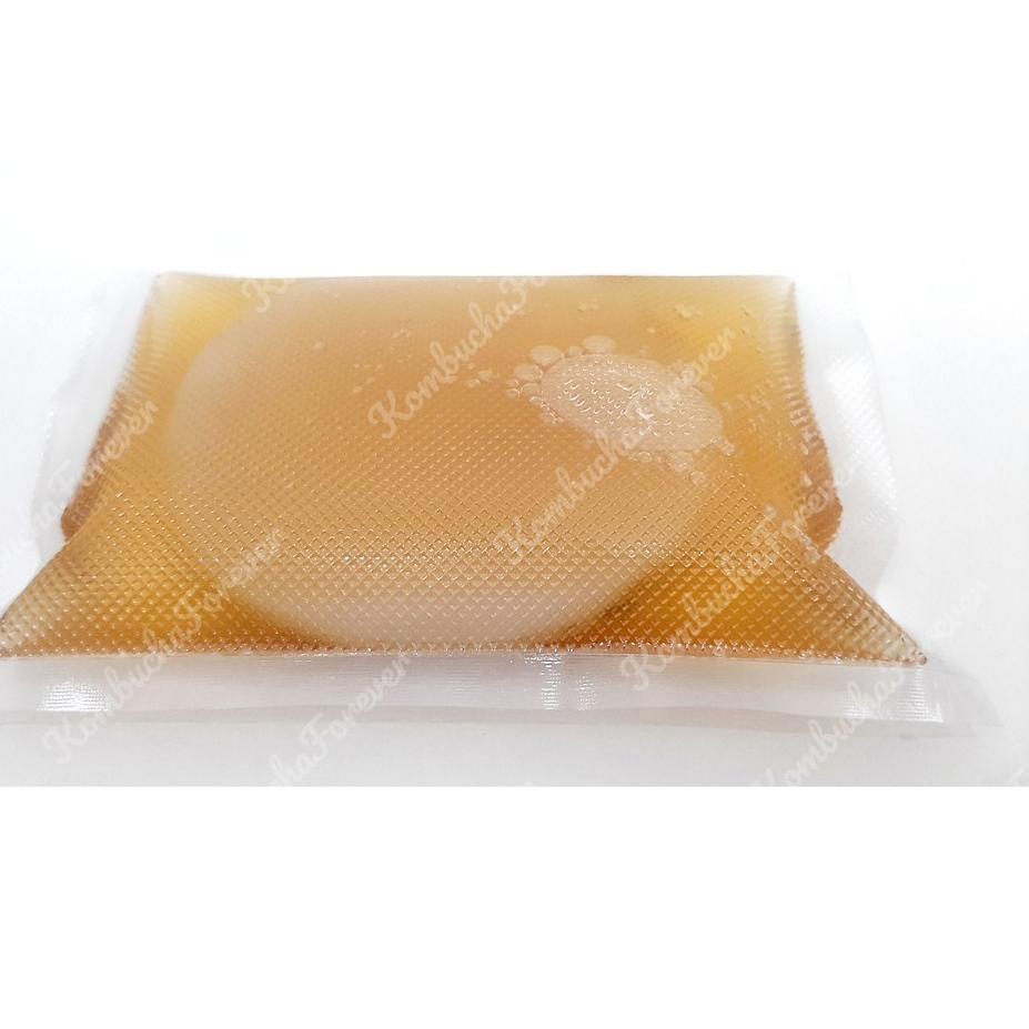

Elegant--Bibit Scoby Jamur Kombucha Diameter 10cm Tebal -+ 1 cm Premium Organik