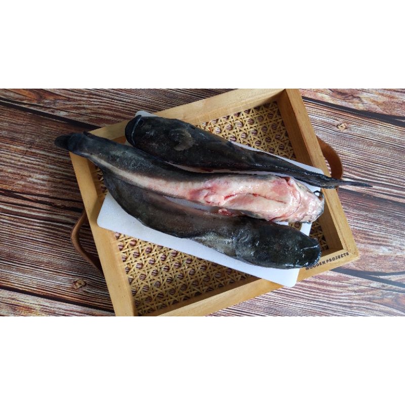 

Ikan lele Frozen fish