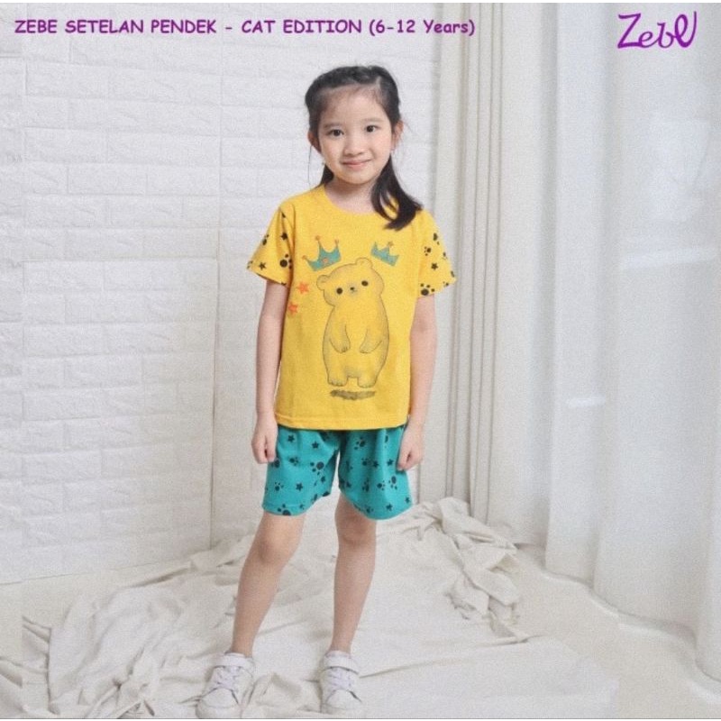 Zebe Setelan Baju Lengan Pendek Celana Pendek Cat Edition - Baju Anak