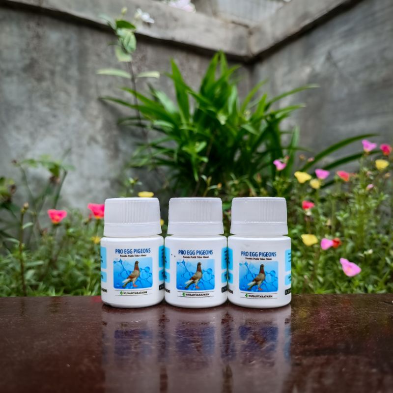 pro egg pigeons 25 kapsul by nusantara farm pembentuk otot sprinter merpati jantung suplemen dara me
