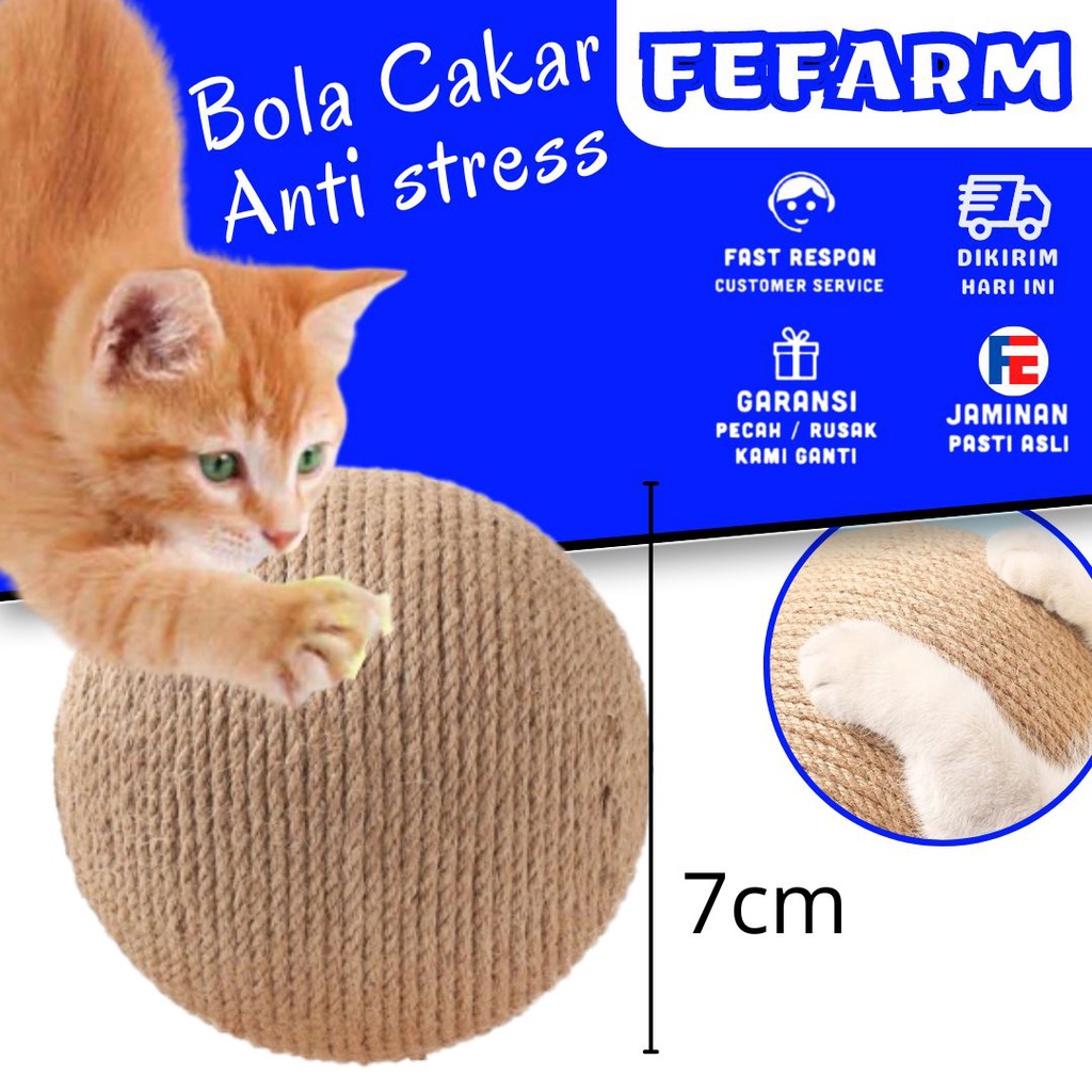 Bola Cakar Bermain Kucing Mainan Kitten Cat Toys FEFARM