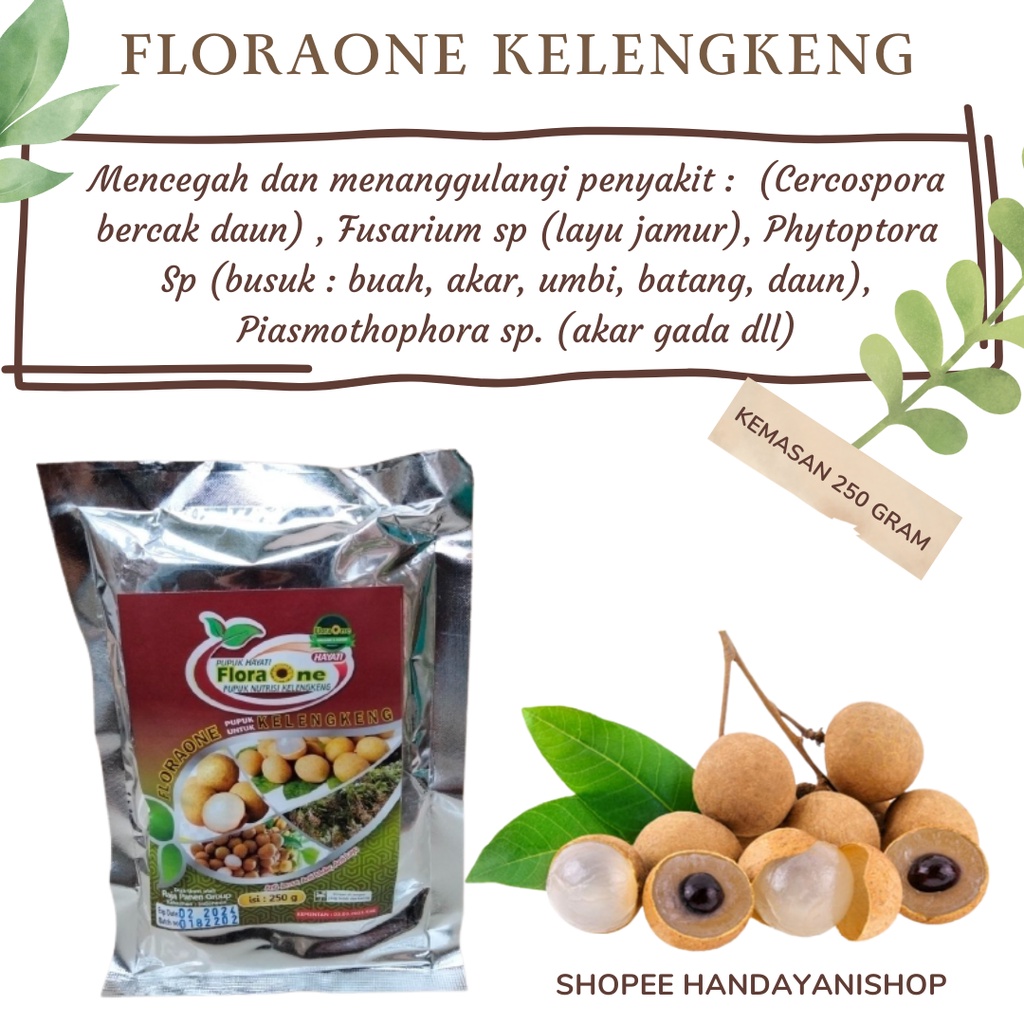 pupuk perangsang bunga dan buah kelengkeng, pupuk perangsang buah kelengkeng, pupuk kelengkeng enak,