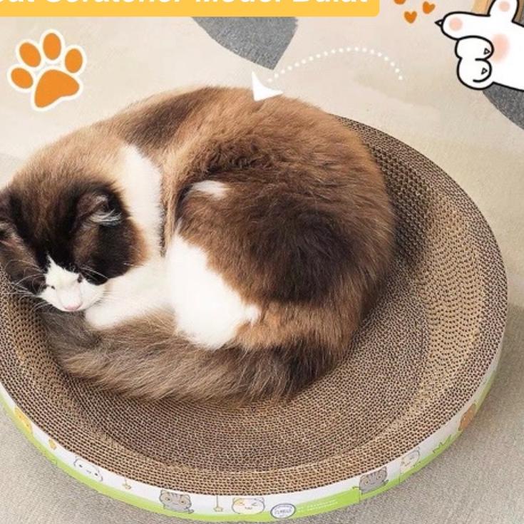 Cat Scratcher Box Cakar Model Bulat Untuk Kucing - Garukan Kucing Cat Scratcher | Cakaran Kucing | P
