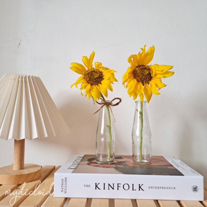 Slim Mini Vas, Vas Bunga Kaca Aesthetic, Vas Botol Kaca Tali Rami, Vas Bunga Minimalis, Botol Hias D