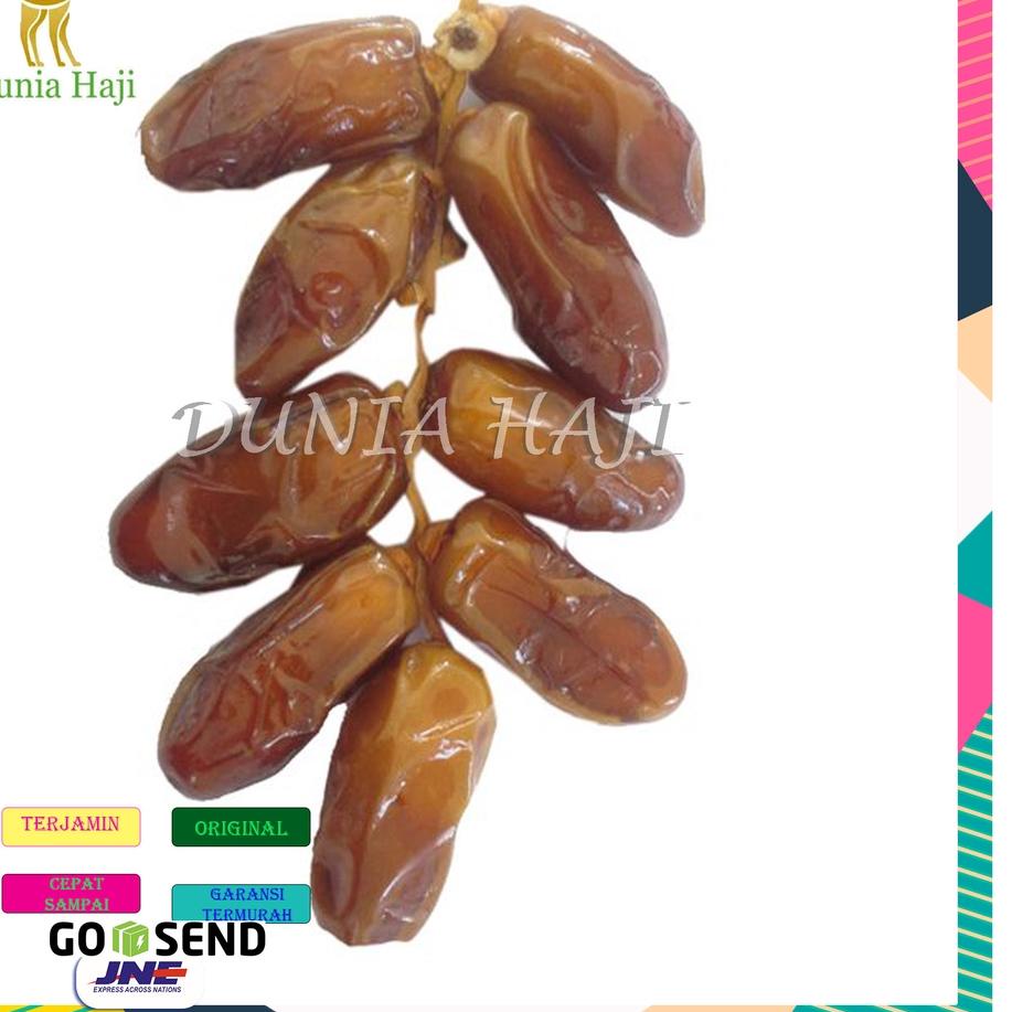 

artZz6Z0--Kurma TANGKAI / Kurma Tangkai Tunis Tunisia Deglet Nour / Oleh Oleh Haji dan Umroh