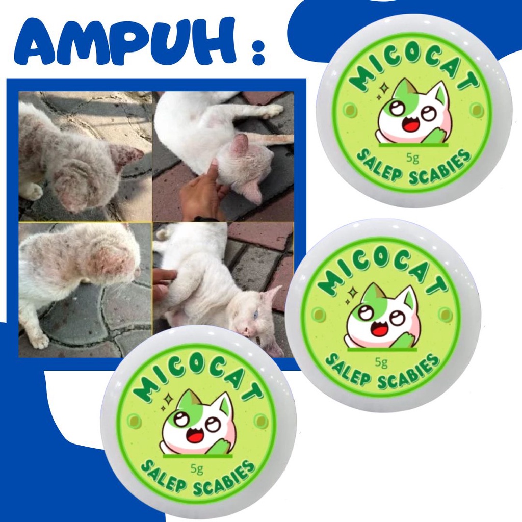 Salep Scabies Jamur MICOCAT Koreng Kucing Obat Scabies Kucing FEZONE