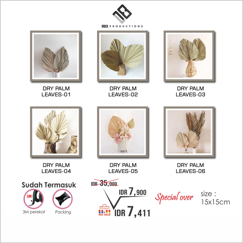 Hiasan Dinding  Pajangan Wall Decor Dry Palm Leaves 15x15 cm Daun Kering Dekorasi Shabbychic