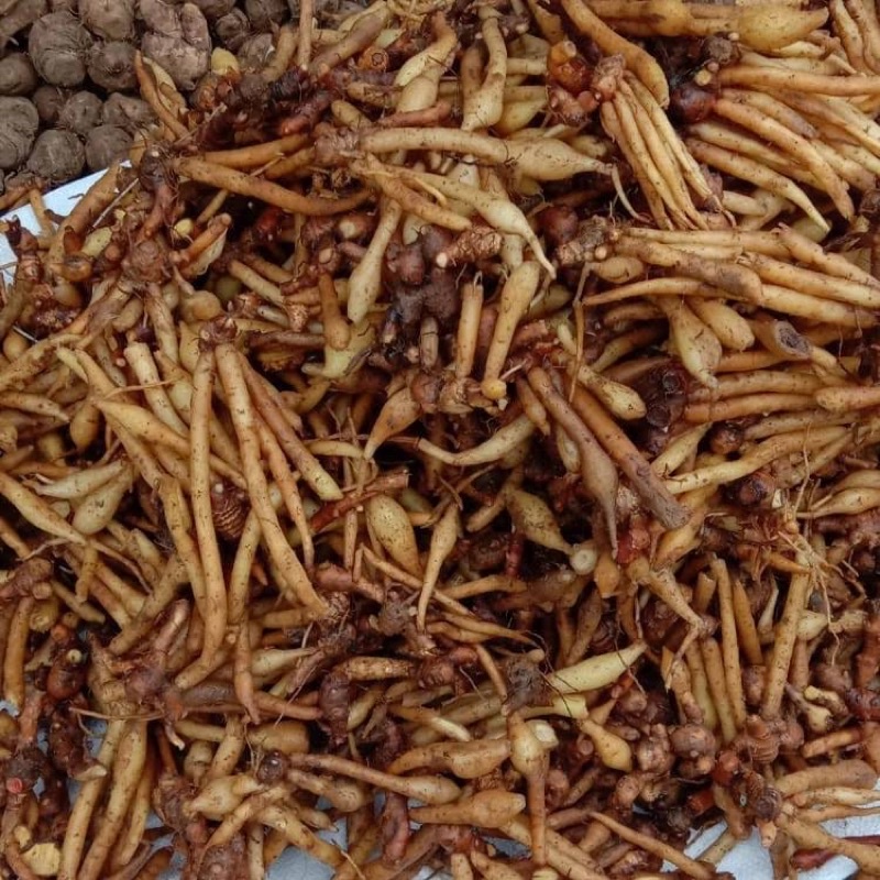 Temu kunci 1/2 kg