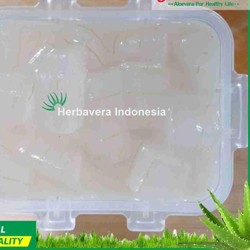 

11.11✔️Manisan Aloevera (Lidah Buaya)|KD1