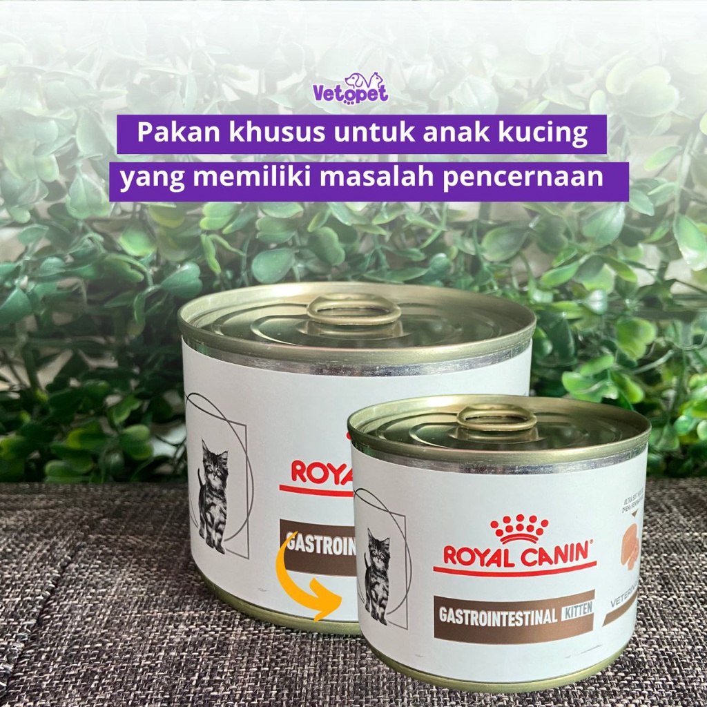 Royal Canin Gastro intestinal kitten  basah