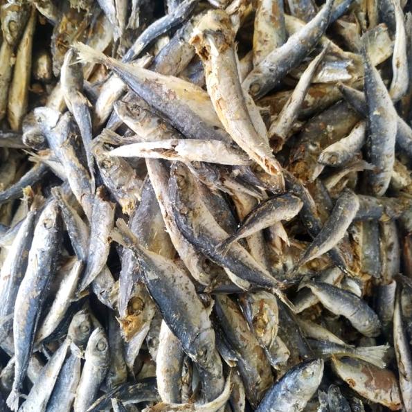 

Pesan sekarang--Ikan asin layang rebus 250gr / ikan layang / ikan cue / ikan pindang