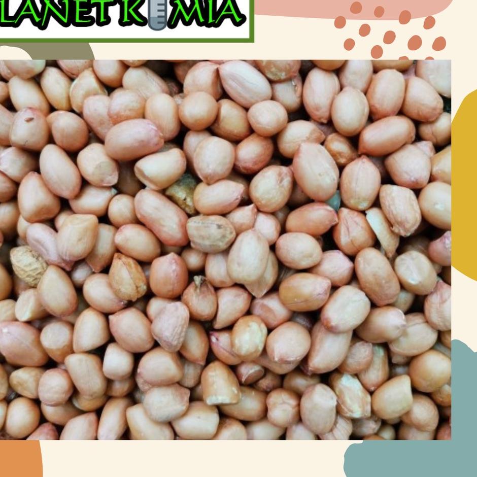 

IdP5b5A--Kacang Tanah Super Putih 500 gram dan 1000 gram Best Quality MURAH MERIAH!!! KACANG RENYAH DAN GURIH
