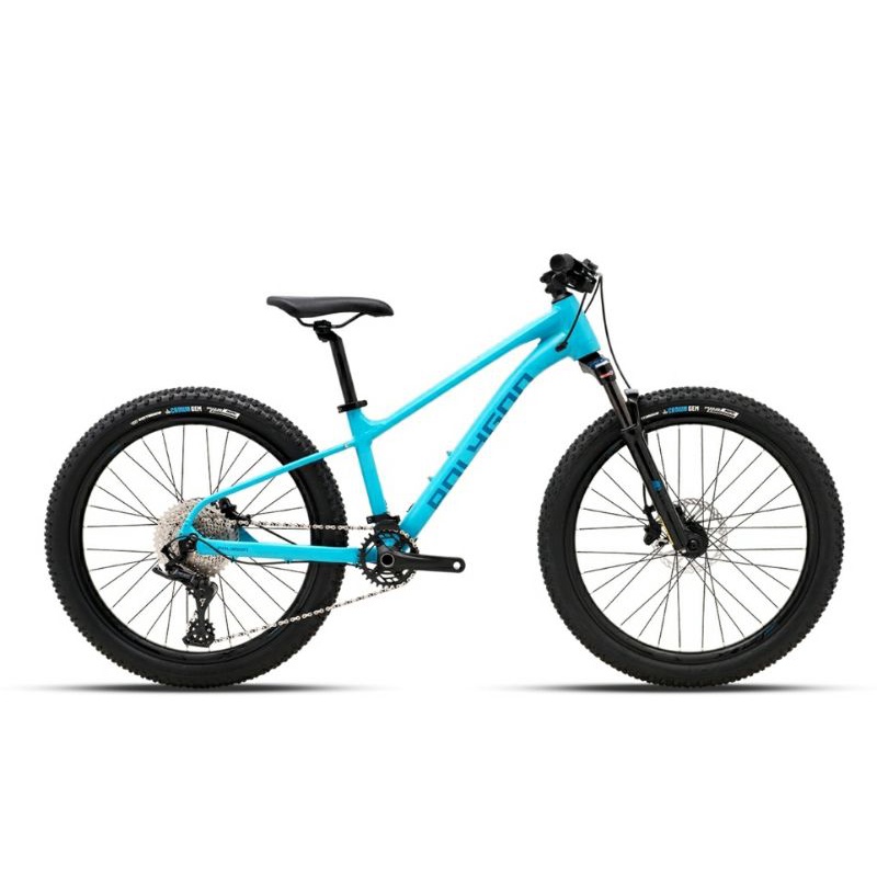 Sepeda MTB Polygon Xtrada 24 Inch