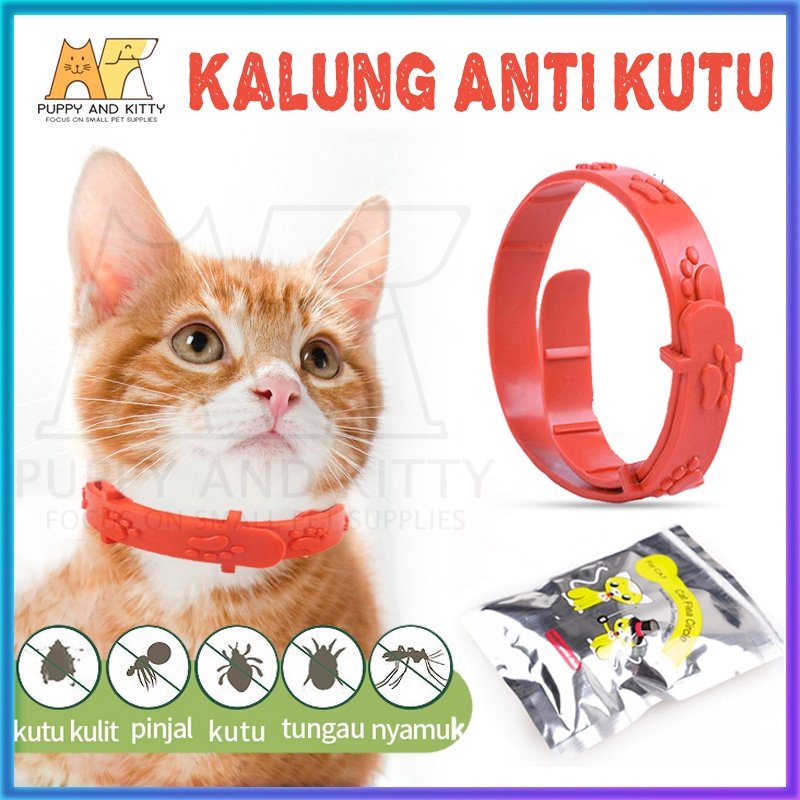 Kalung Anti Kutu Kucing - Kalung Obat Anti Kutu Kucing Kelinci Anjing Musang Flea Tick Cat Kitten