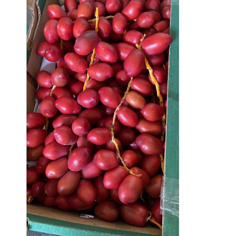 

10.10 ✨Promo✨ FRESH KURMA MUDA MERAH - SUKABUAH grosir