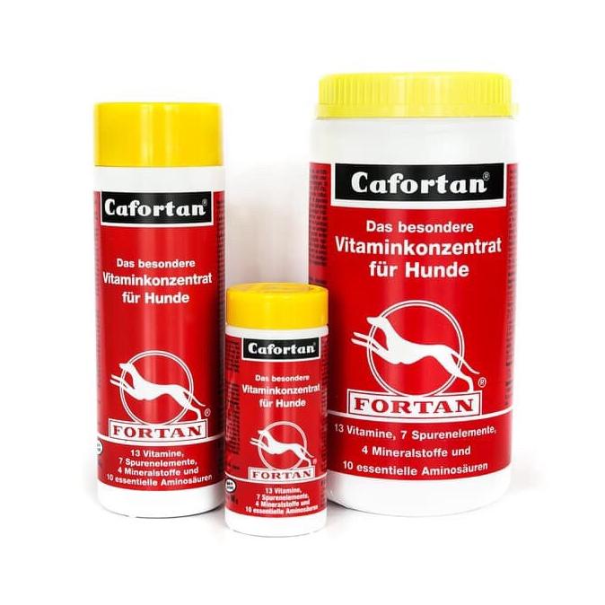 TERLARIS Cafortan 1000gr (multivitamin)