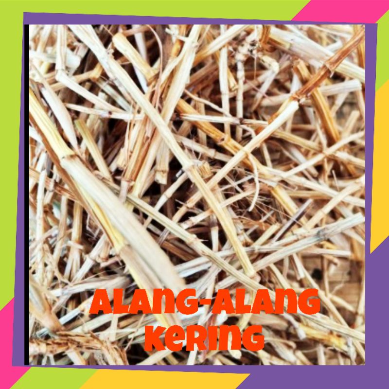 

ALANG-ALANG KERING | REMPAH HERBAL | 100% ORIGINAL PRODUCT