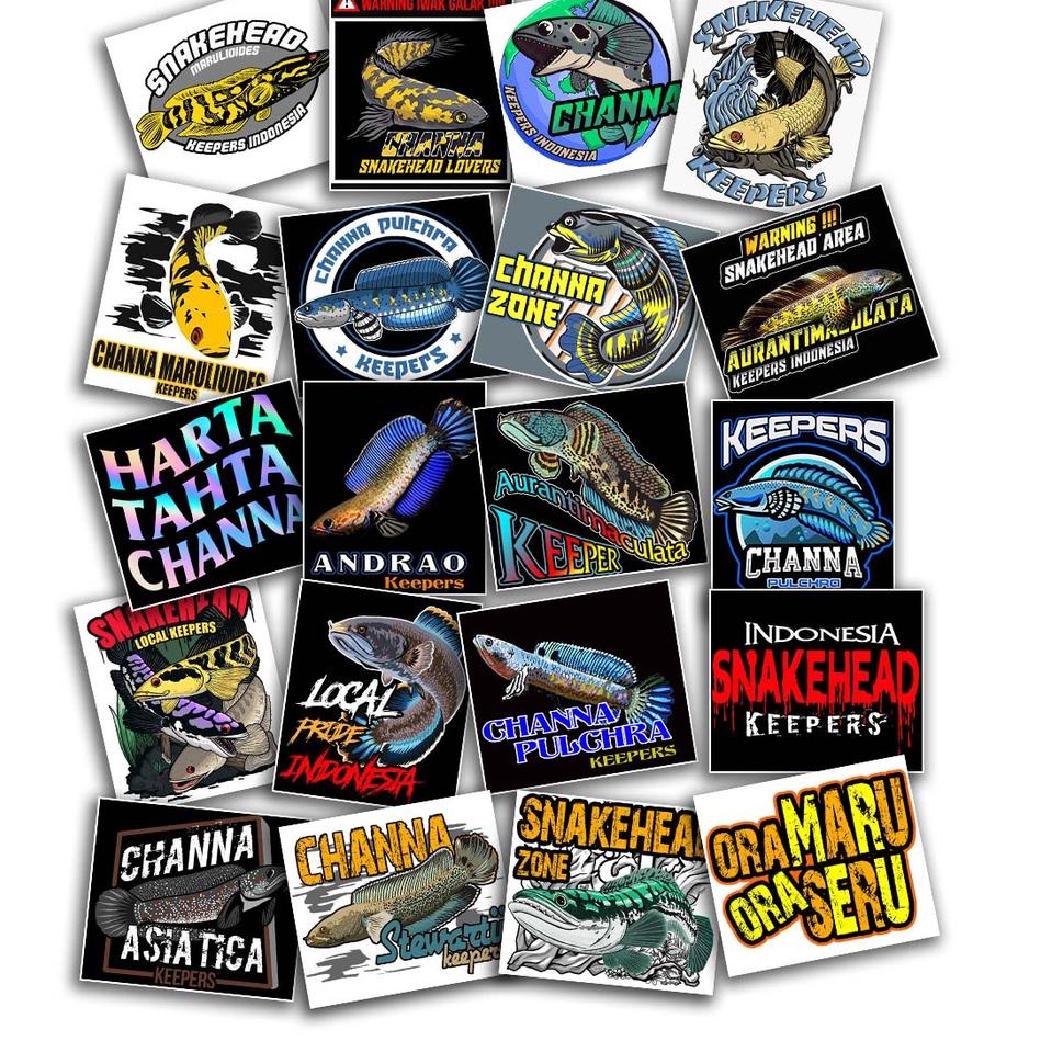 TMM.22Oc22o • stiker ikan predator channa isi 20 buah sticker chana setikar snakehead bogo auranti m