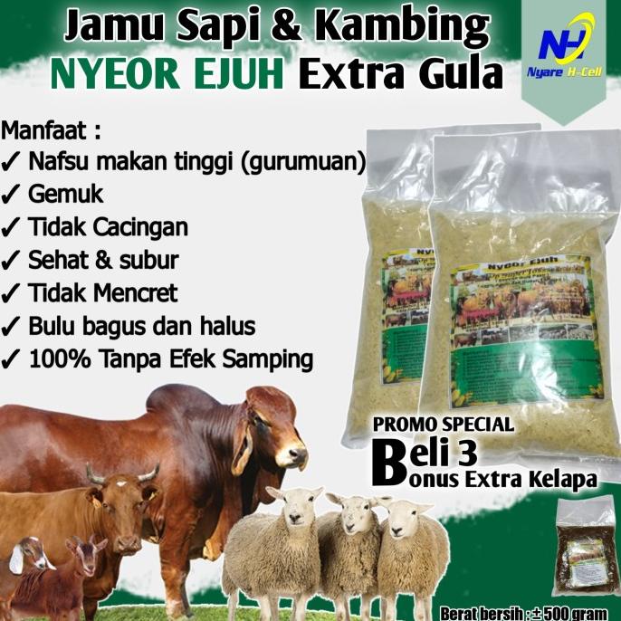 

[BISA COD] Jamu Sapi & Kambing Xtra gula (Sehat, Gemuk, Bulu Halus & Berkualitas)