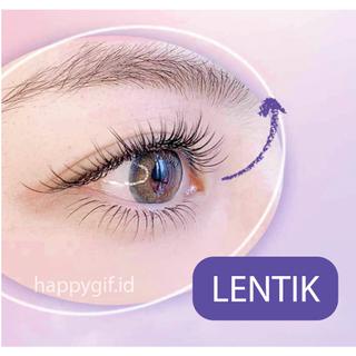 SVMY Purple Long Lash Slender Curl Mascara Maskara Waterproof LA192