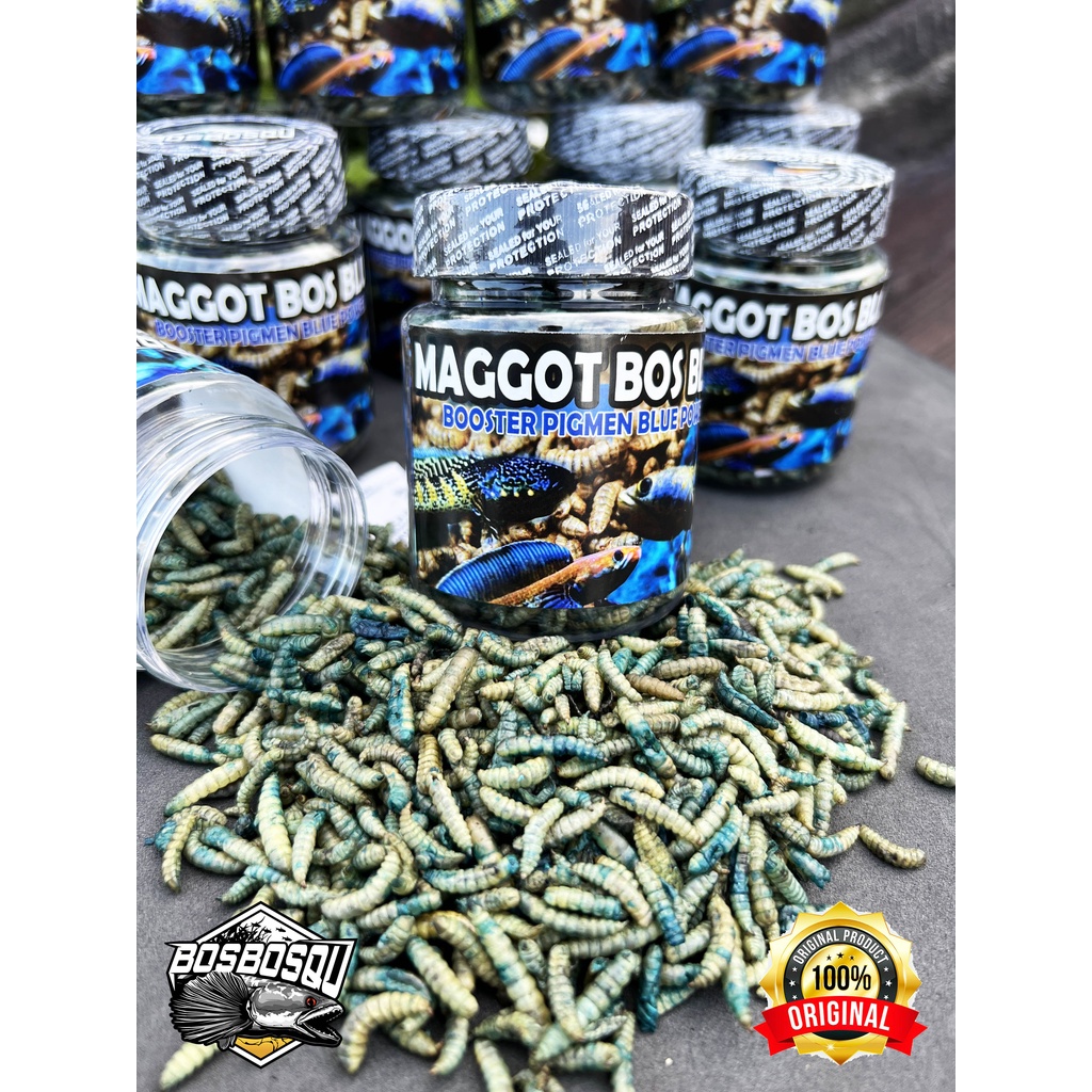 MAGGOT BLUE (BIRU) @BOS BOS QU GRADE A+ FREE STIKER 30 GRAM