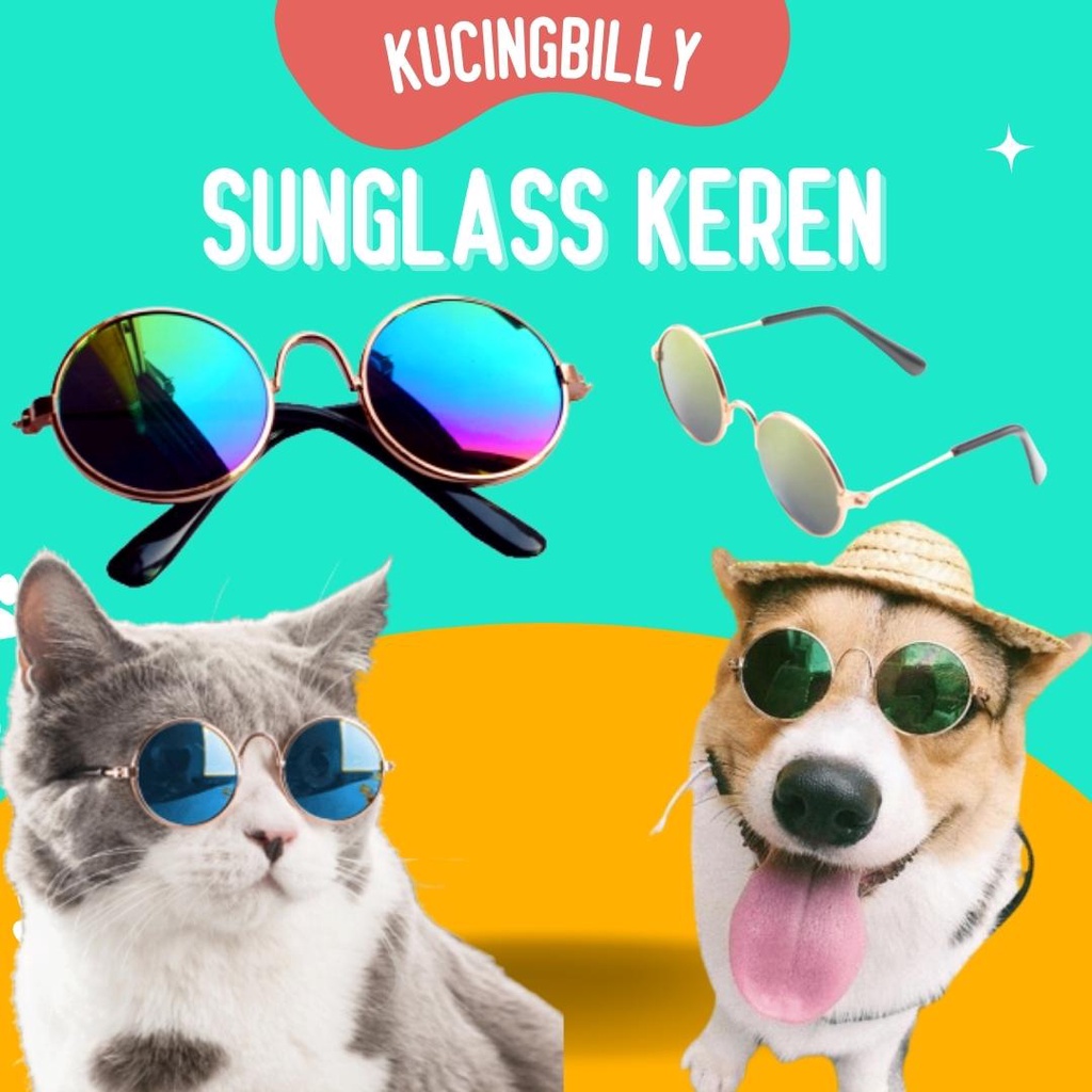 Kacamata sunglass keren kucing anjing