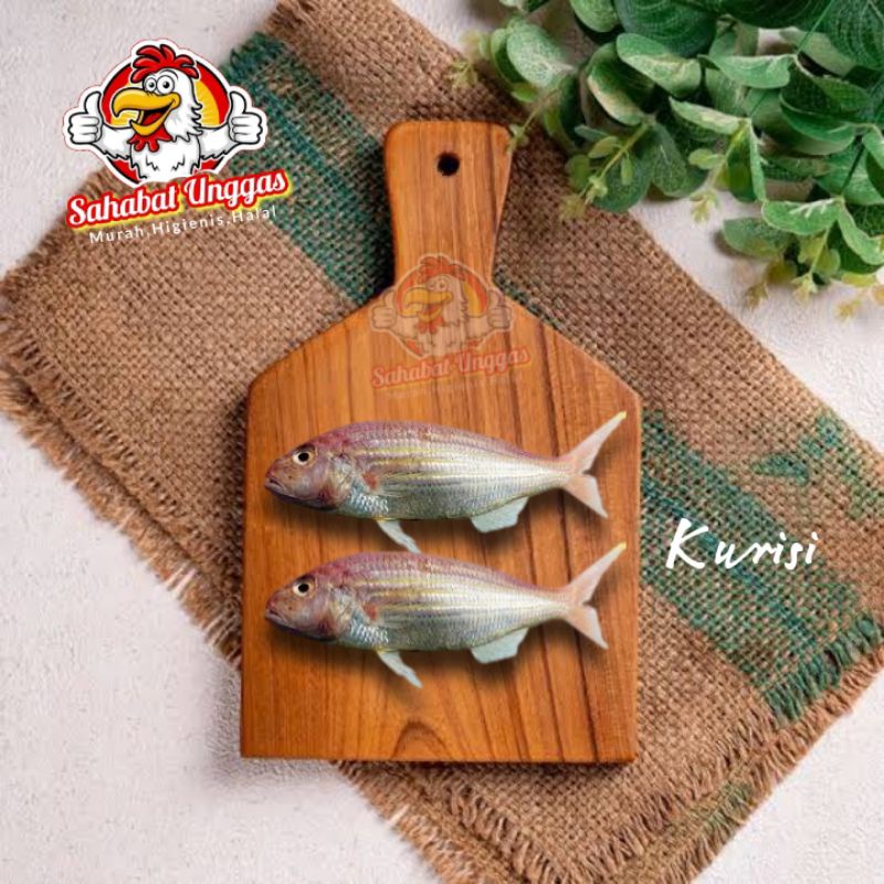 

Ikan Kurisi /Terisi 500gr