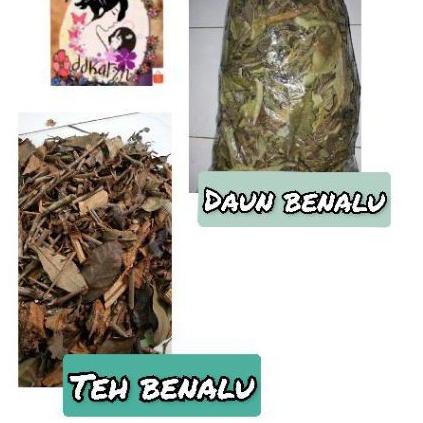 

PROMO HARI INI 1 kg Teh Benalu/Daun benalu kering !