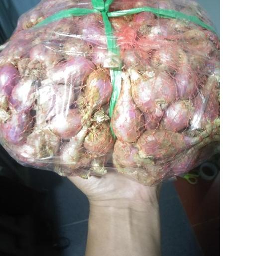 

Terlaris Today BAWANG SUMENEP ASLI 1KG BESAR murah