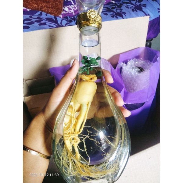 

Ginseng Hias Premium