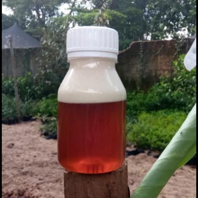 

DISKON MADU KOPI PREMIUM ISI BERSIH 300G SALE