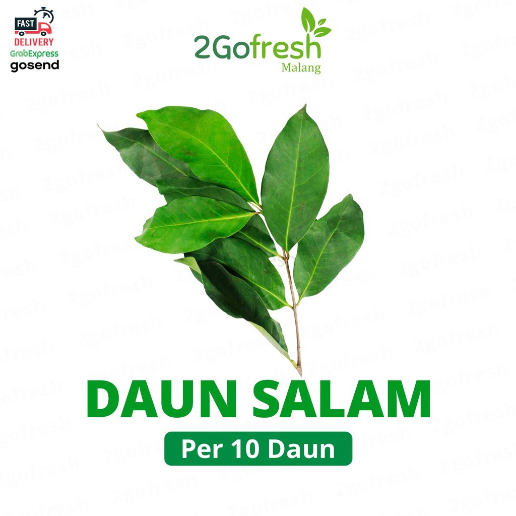 

Daun Salam Fresh - Sayur Sayuran