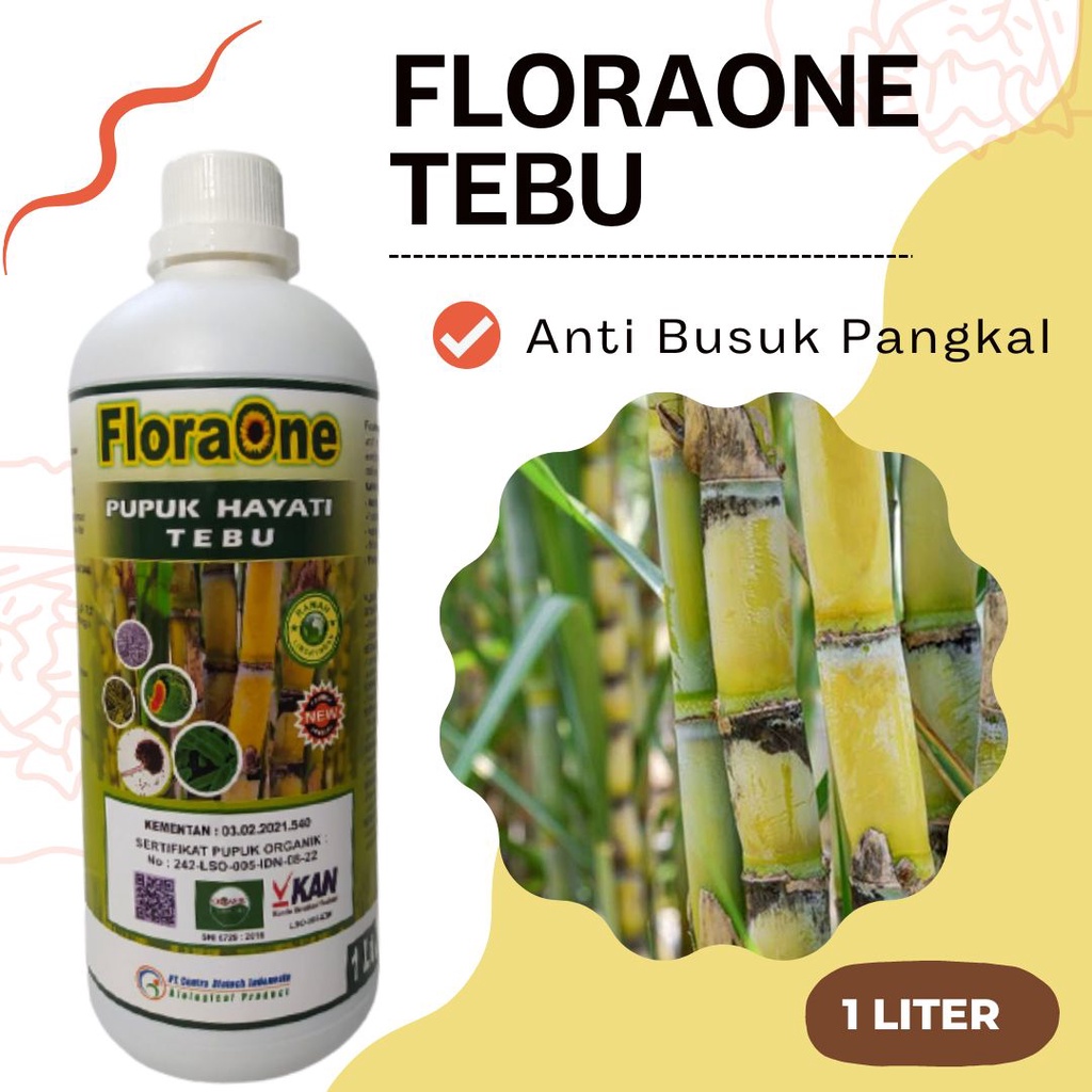 Pupuk Tebu Alami Cair, Fungisida Untuk Penyakit Bercak Bertarget Pada Tebu, Booster Pembesar Batang