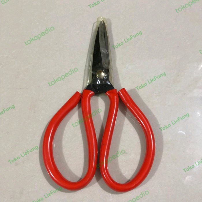 

Promo Gunting Kulit 19 Cm Bagus