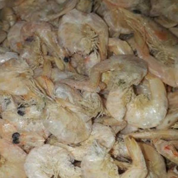 

IdX3j3I--Udang Manis Medan 250gram