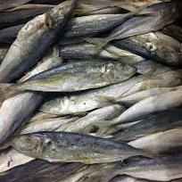 

Pro Seller--Ikan Asin Layang/Japuh 1 Kg