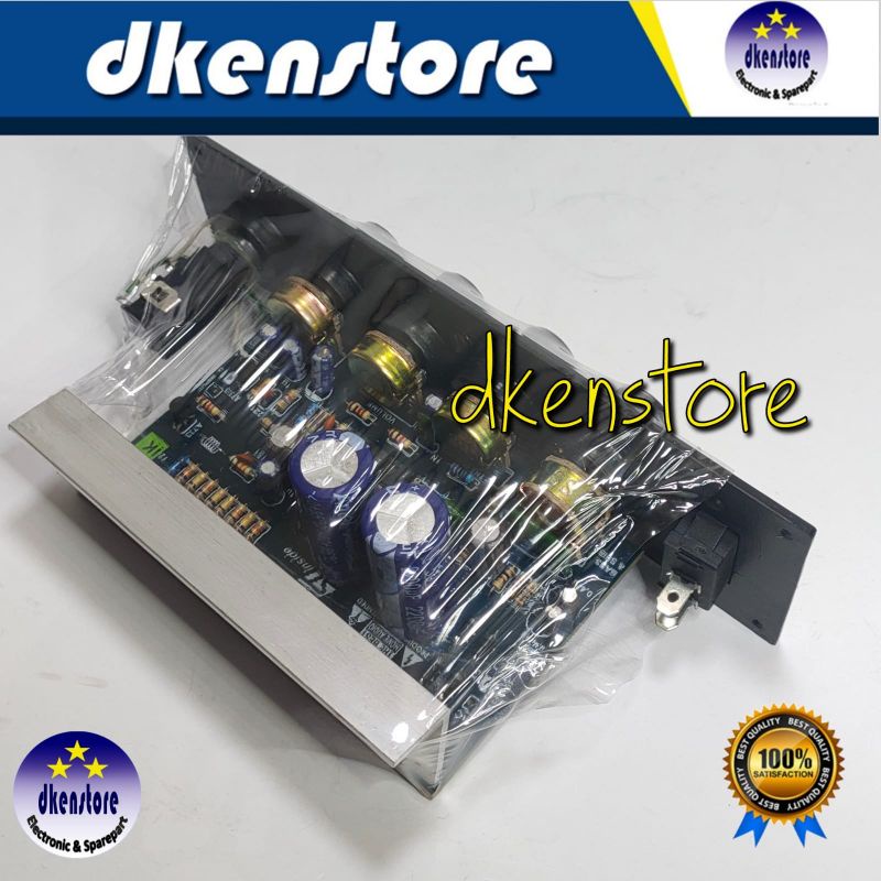 Kit Ampli Speaker Aktif  Mono 100W Clarity