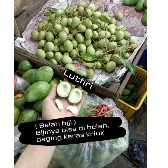 Terbaik.. Mangga Telor atau Telur Muda Mentah 1 kg belah biji asem segar fresh rujak manisan asinan 