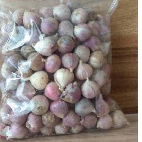 

Ready Stok BAWANG PUTIH TUNGGAL 250gram !