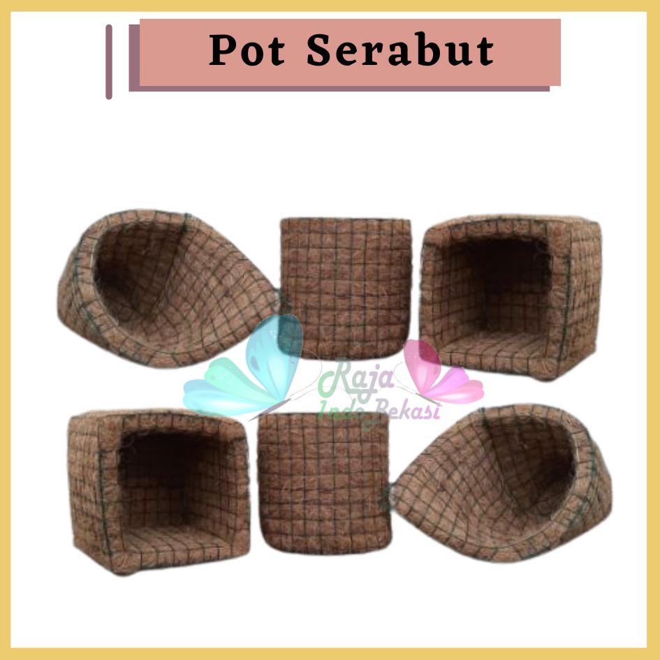 Pot Anggrek Serabut Kelapa Pot Tanaman Pot Bunga Termurah Pot Bagus Cocofiber 500gr Pot Serabut Kelapa Tanaman Anggrek Gantung Tempel Jumbo-Pot sabut kelapa gantung cantik dan elegan