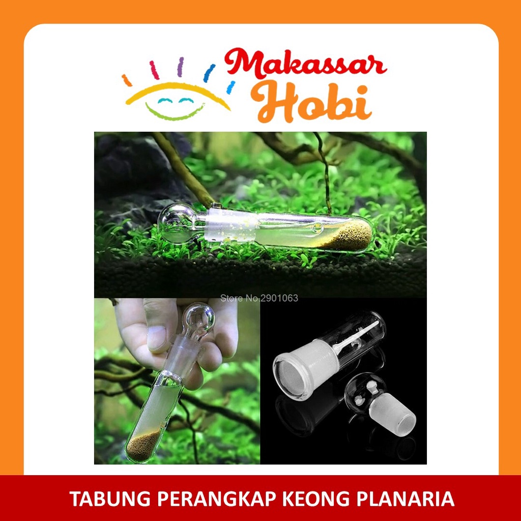 Snail Planaria Leech Trap Alat Perangkap Hama Keong Cacing Aquascape