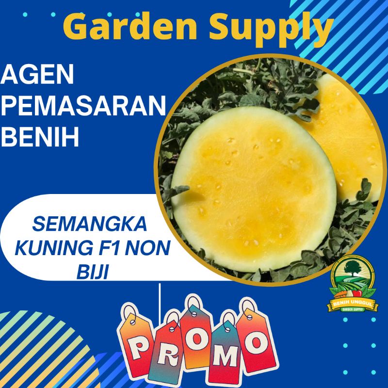 Biji 10 Benih Semangka Kuning AMARELO F1 tanpa biji, rasa manis segar