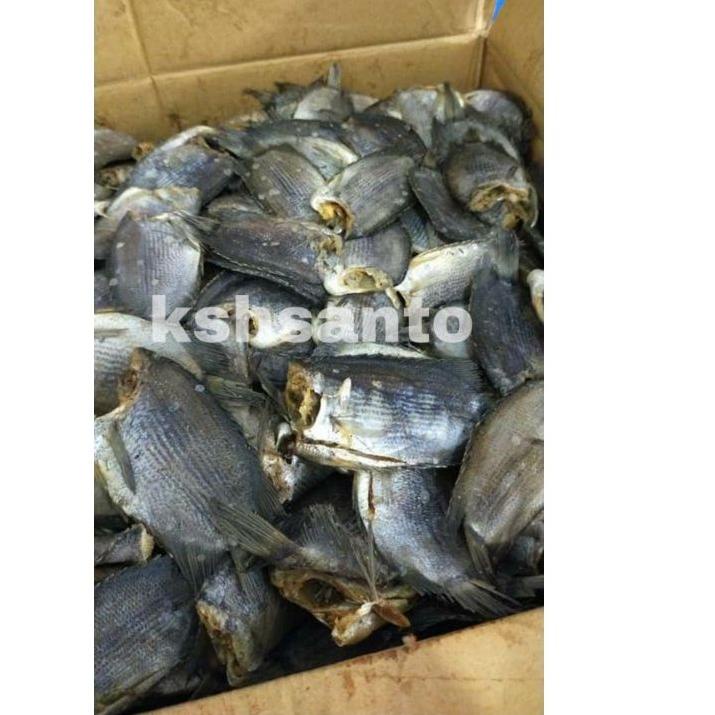 

READY ✅ikan asin tembakang netto-500gram|SQ4