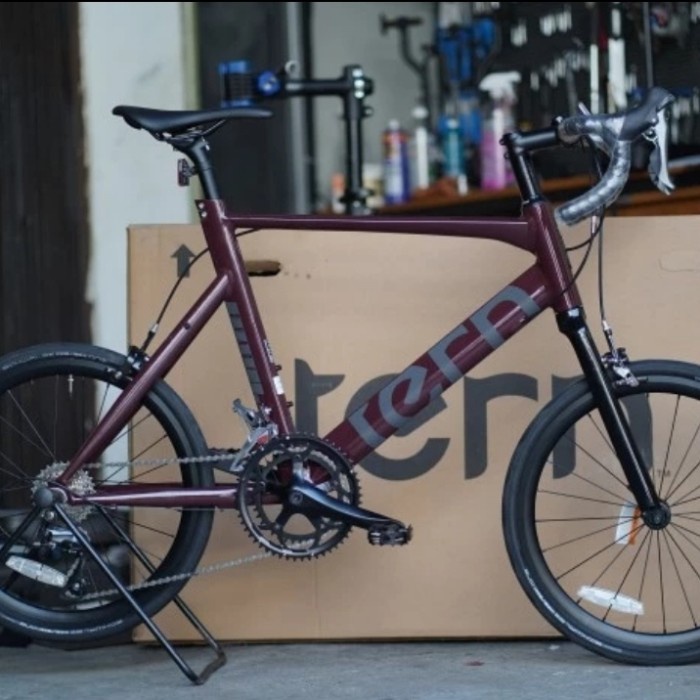 Frame Tern Surge Minivelo