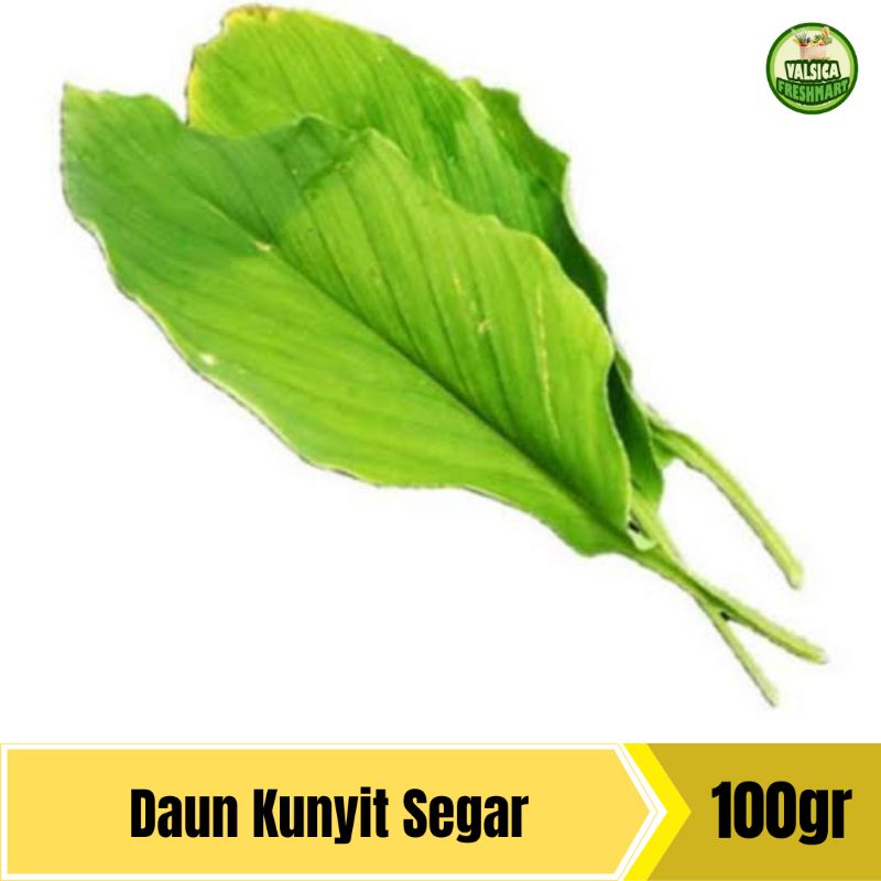 

Daun Kunyit Segar - 100gr