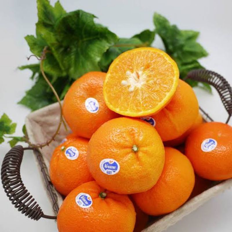 

Jeruk Afourer seedless non biji / 1 kg / 500gr