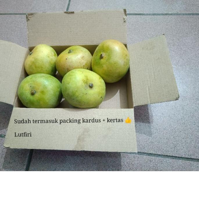 

SALE!!Mangga Apel Matang Mateng 1 kilogram Enak Asem Manis Segar fresh manisan makan langsung|SQ4