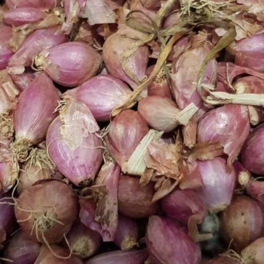 

GRATIS ONGKIR✅Bawang Merah Kecil Brebes [Super Murah] 1Kg|SQ6