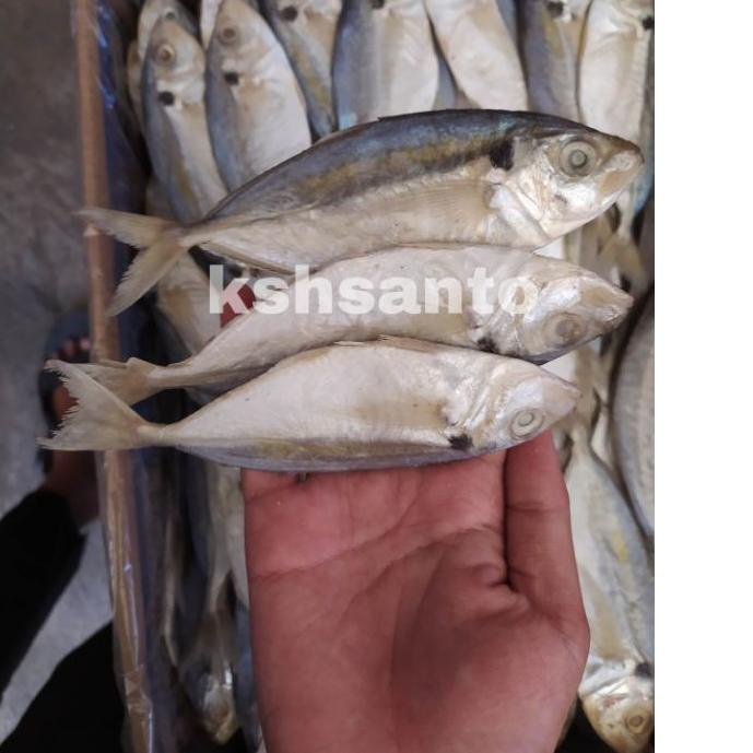

10.10 SALE Ikan asin selar jumbo-500gram grosir
