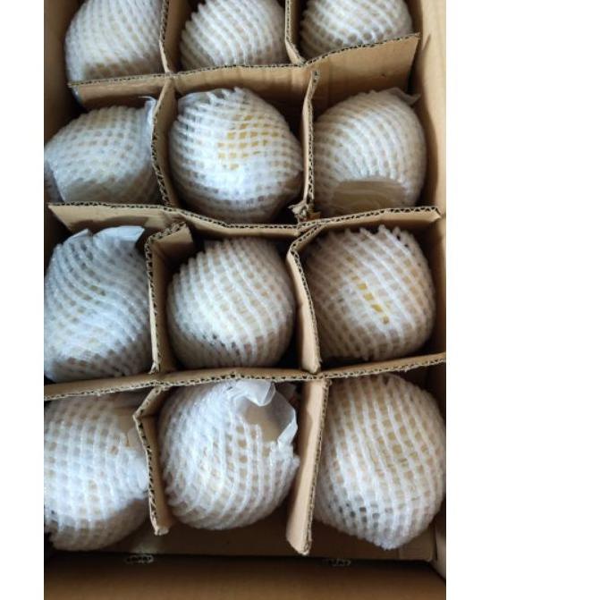 

Quality Control✅Buah Sweet Pear / Pear Madu Per 1kg|RA5
